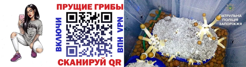 Галлюциногенные грибы мухоморы Высоковск